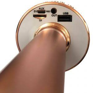میکروفون اسپیکر مدل WS-858 GODFREY
