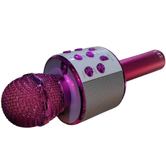 میکروفون اسپیکر مدل WS-858 GODFREY